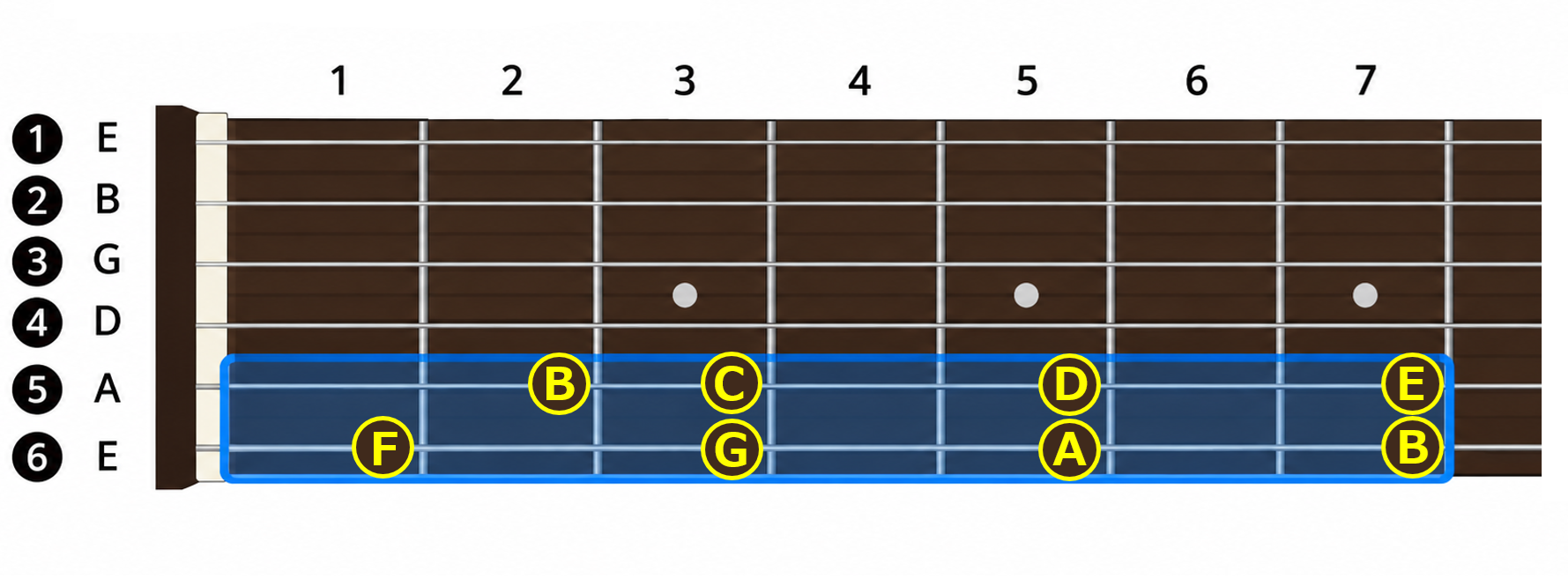 Fretboard